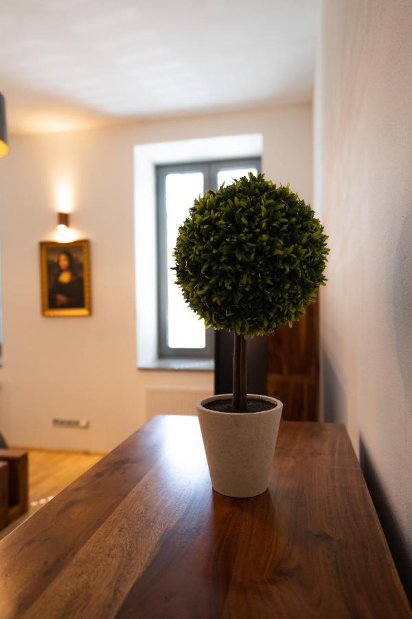 Black Field Apartment Brno